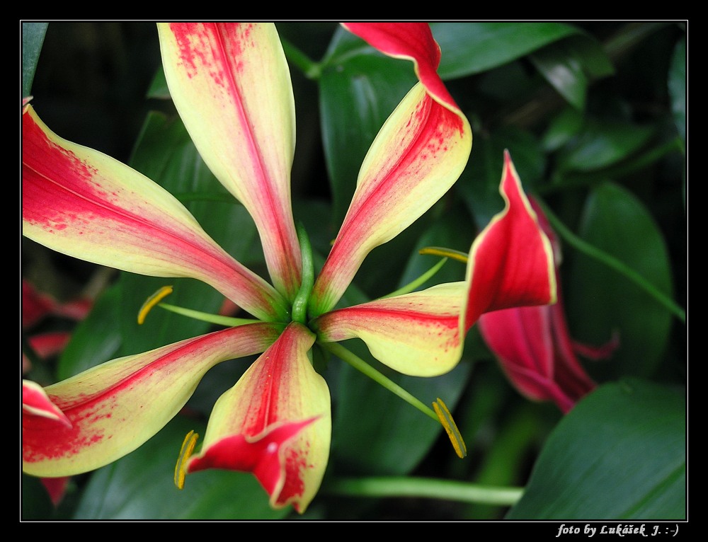 P1011228_tn.jpg - OLYMPUS DIGITAL CAMERA         